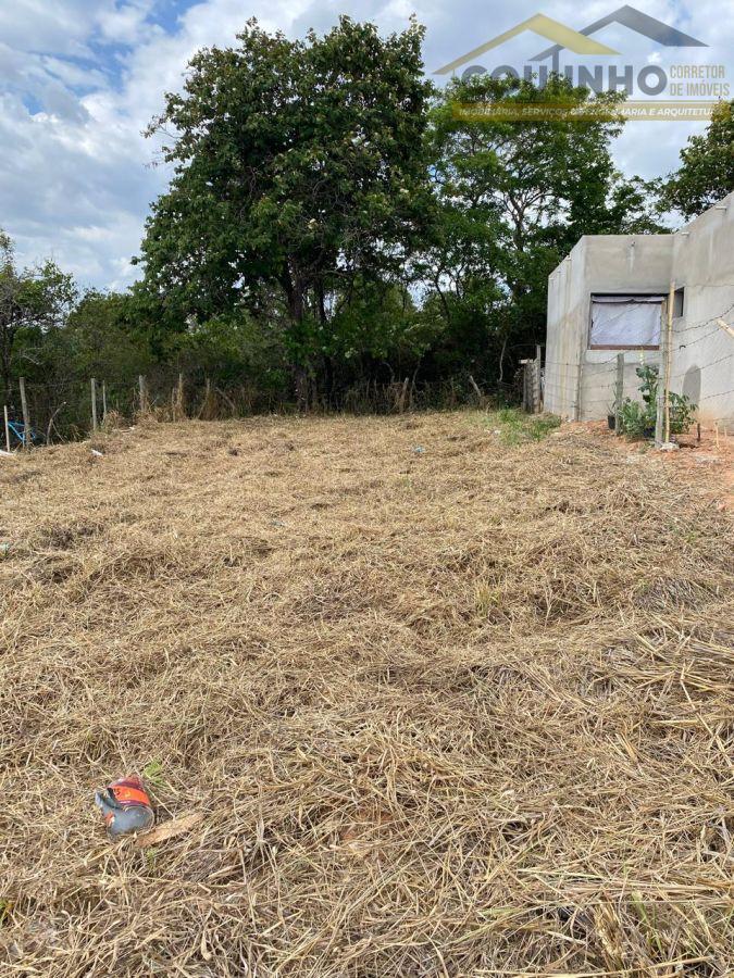 WhatsApp Image 2025-10-29 at 14.42.38.jpeg